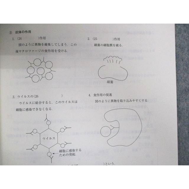 代ゼミ 大堀の正しく理解する生物[進化・系統分類]/[神経・免疫・個体