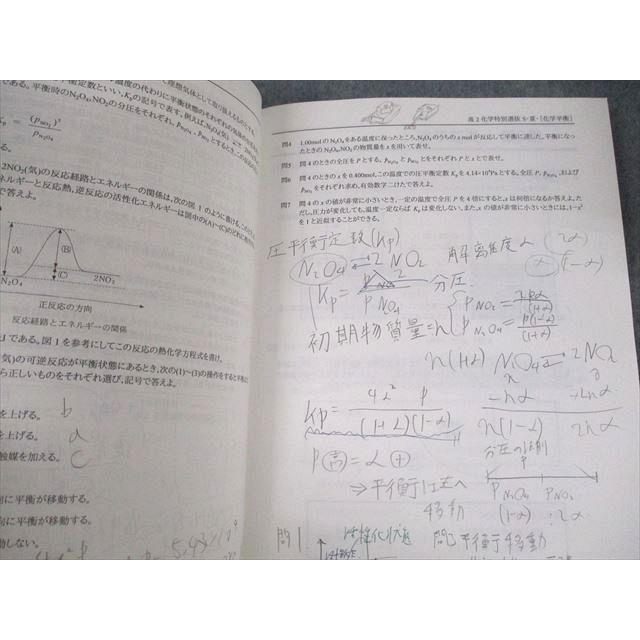 研伸館 高2化学 究極の化学 反応理論/化学特別選抜S テキスト/テスト4