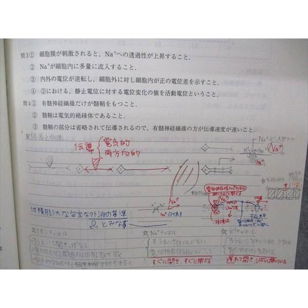 代々木ゼミナール　代ゼミ 生物図解・計算・遺伝・描図 書き込みなし 2004 夏期 中嶋寛 007s0D 代ゼミ 代々木ゼミナール 中嶋寛の生物 図解・計算・遺伝・描画