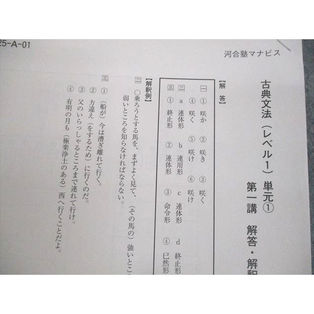 河合塾マナビス 古典文法(レベル1) 単元1〜5 テキスト/テスト30回分付