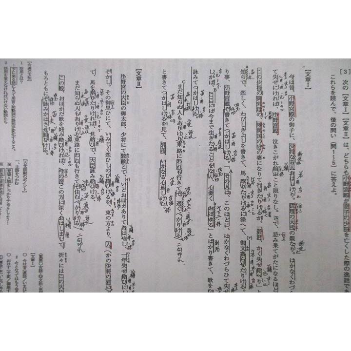 河合塾 古文/サブテキスト【テスト12回分付き】 テキスト通年セット