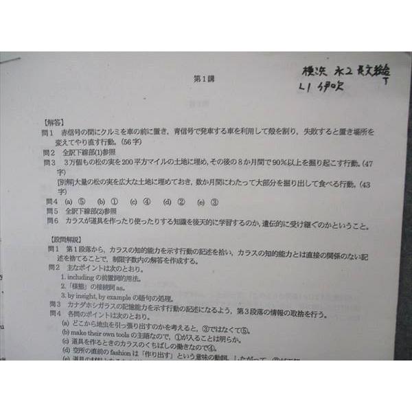 河合塾 長文総合英語T テキスト 2020 基礎シリーズ 伊吹太郎 sale