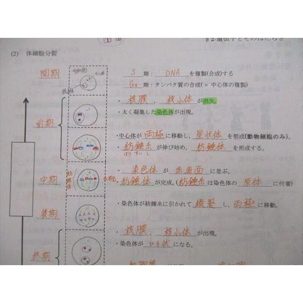 大阪桐蔭高校 1類 物理 教科書・ノート・授業プリントセット 大阪桐蔭高校 1類 物理 教科書・ノート・授業プリントセット