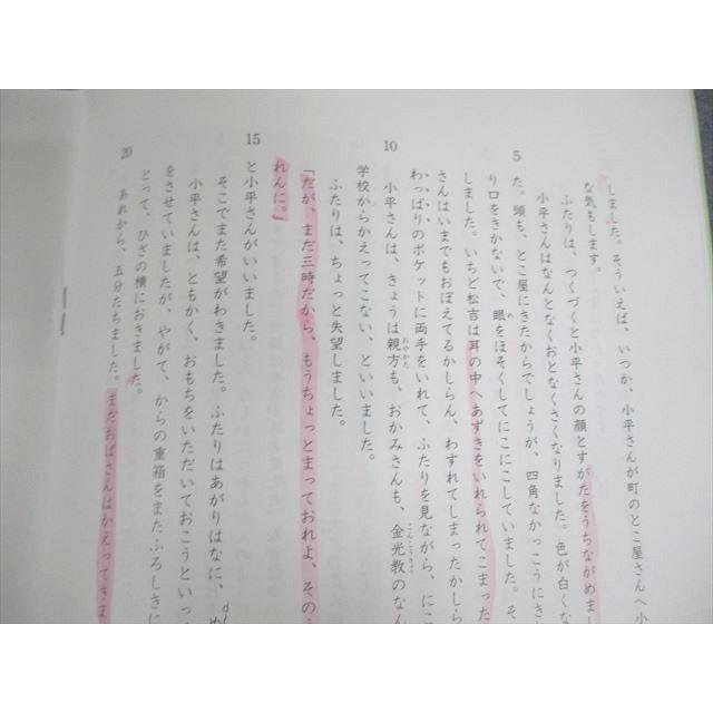 SAPIX 小5 国語 スプリングサピックス H52-01〜03 2019 計3冊