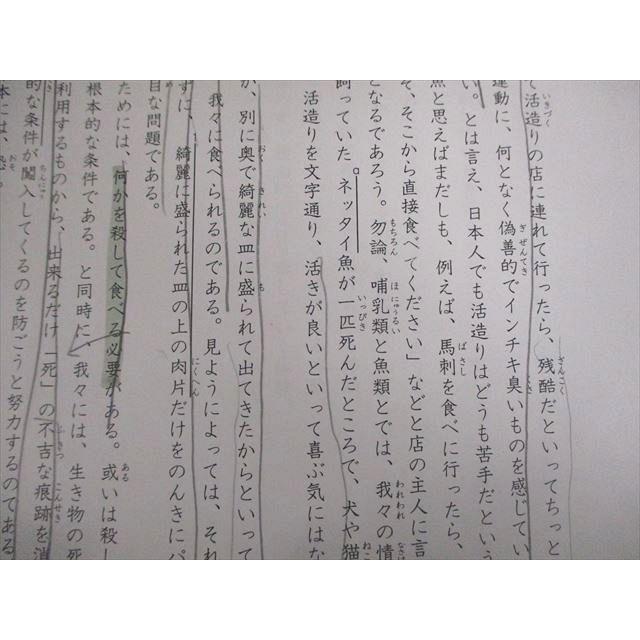 SAPIX 小6 国語 正月特訓 早稲田系対策プリント 01〜04 テスト計4回分