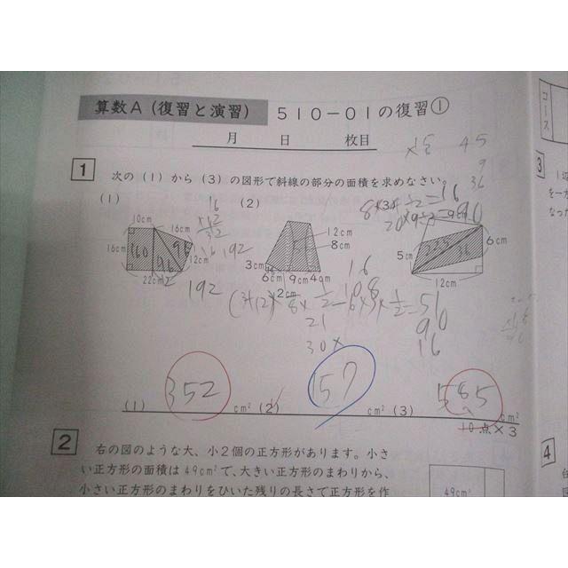 SAPIX 小5 算数A(復習と演習) 51A-02〜05/07/09〜37 2018年度版 通年