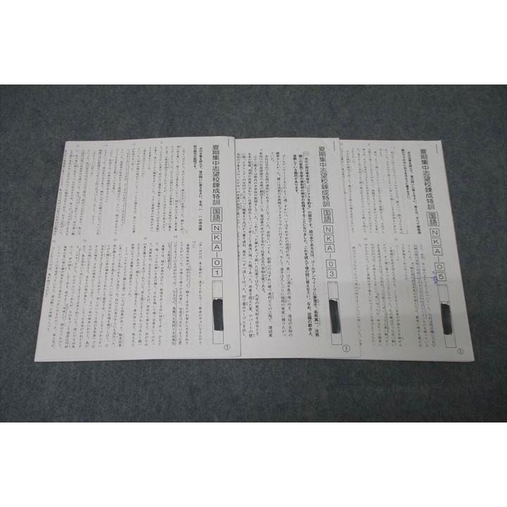 SAPIX サピックス 開成コース 夏期集中志望校錬成特訓 国語 NKA-01/03