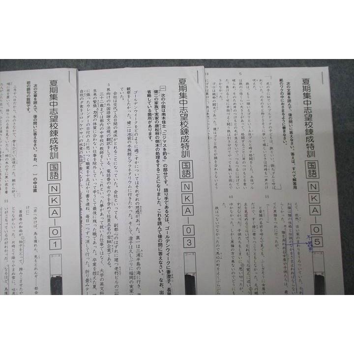 SAPIX サピックス 開成コース 夏期集中志望校錬成特訓 国語 NKA-01/03
