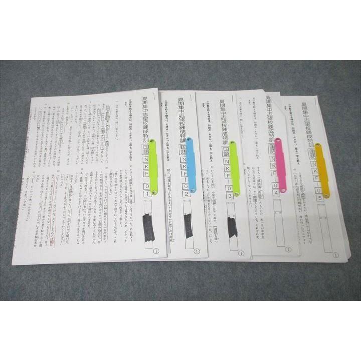 SAPIX サピックス 夏期集中志望校錬成特訓 国語 NKF-01〜05 テスト計5
