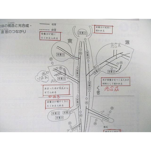 日能研 小5 本科教室/栄冠への道 ステージIII/IV 国語/算数/理科 日能研 小5 本科教室/栄冠への道 ステージIII/IV 国語/算数/理科