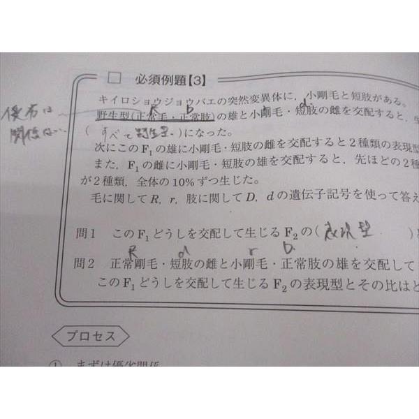 大森徹 駿台夏期講習 遺伝特講 テキスト+プリント 2022 楽天市場】駿台