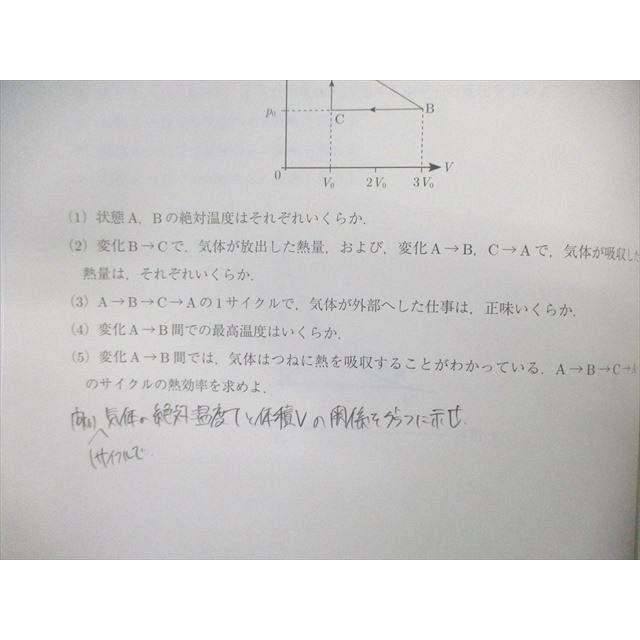 駿台 物理A テキスト通年セット 2018 計2冊 溝口真己/細野香瑠奈
