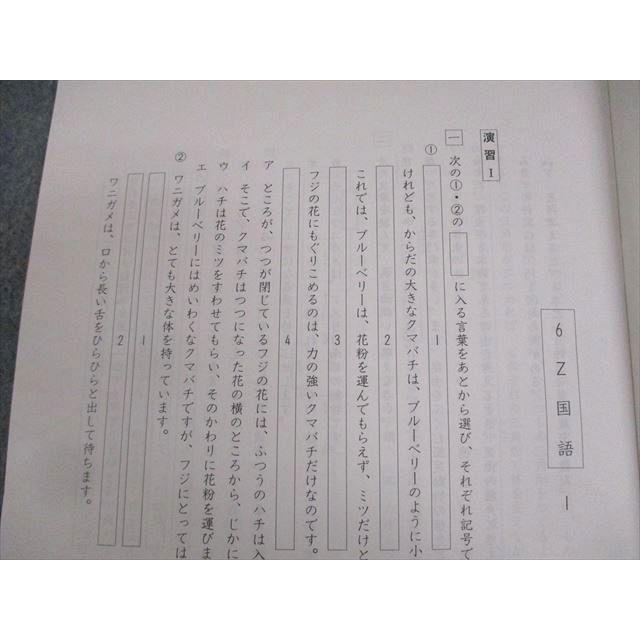 市進教育グループ 小6 難関中学受験クラス プレップ 6ZN国語I/II 通年
