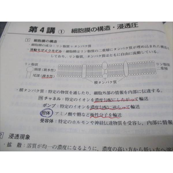 東進 スタンダード生物 Part1/Part2 Vol.1 Vol.2 通年セット 2013 計2