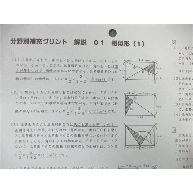 SAPIX サピックス 分野別補充プリント 算数 【計19回分】 2023