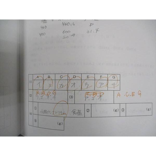 浜学園 小6年 日曜錬成特訓 理科 基礎/強化講座 2月~6月 2023 計5冊
