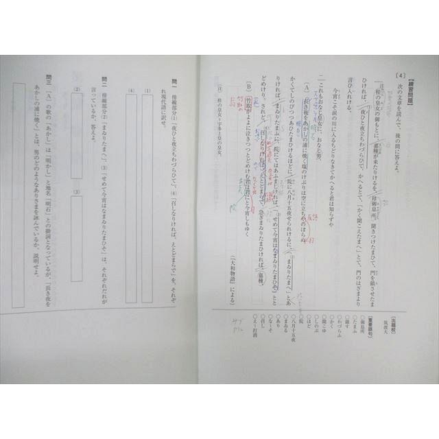 駿台 国公立大コース 現代文/古文/漢文 テキスト通年セット 2019 計11