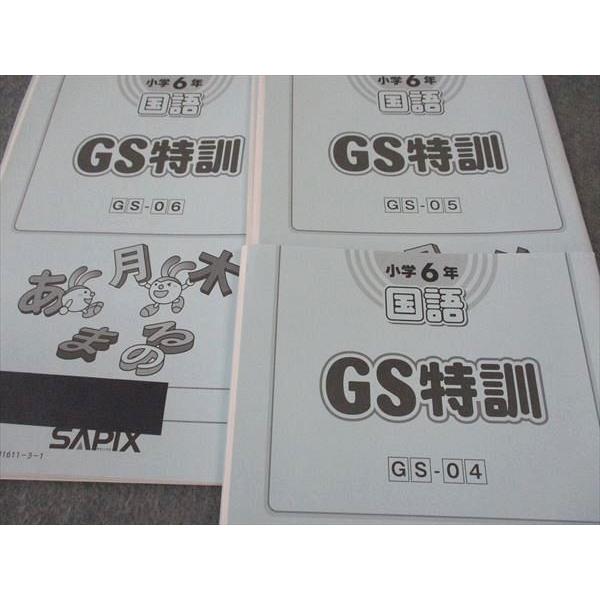 SAPIX 小6年 国語 GS特訓 テスト6回分 サピックス 2023 ☆ 025S2D