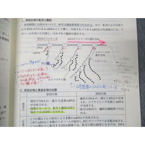 東進テキスト・田部眞哉【ハイレベル生物('13)】 Part1/2 ４冊 東進 ハイレベル生物 Part2 通年セット 2013 vol.1/2 計2冊 田部眞哉