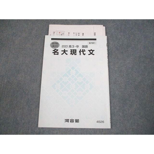 河合塾 名古屋大学 名大現代文 テキスト 2023 夏期 ☆ 003s0D