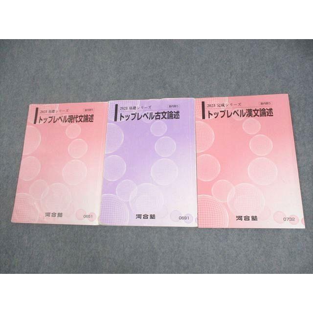 河合塾 トップレベル現代文/古文/漢文論述 テキスト 2023 基礎/完成