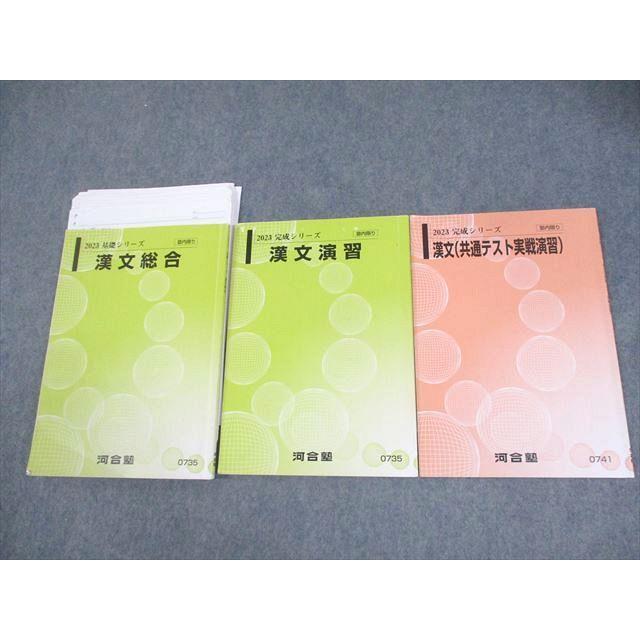 河合塾 漢文総合/演習/共通テスト実戦演習 テキスト通年セット 2023 計