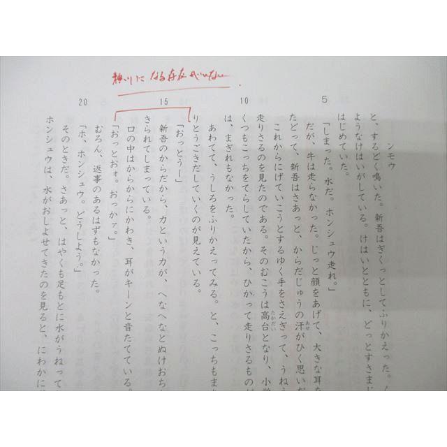 SAPIX 小学6年 単科講座 国語 サンデーサピックス 記述表現力講座
