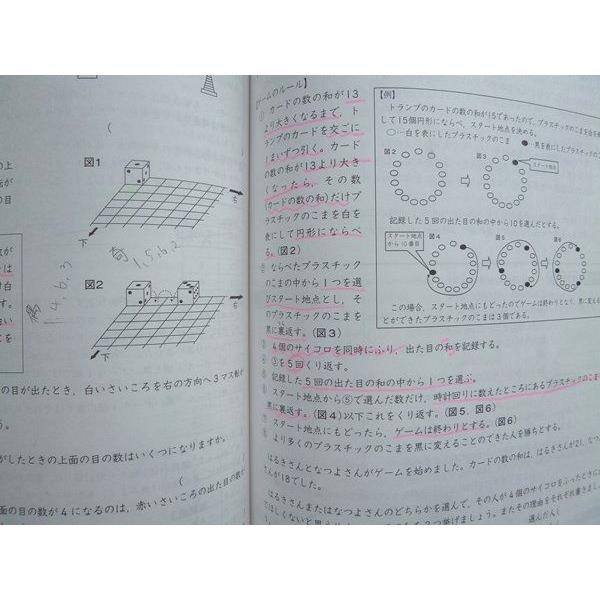 塾専用 公立中高一貫校対策問題集 適性検査対策 理系F ☆ 012S5B