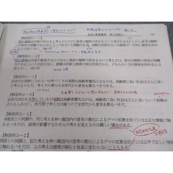 駿台 東大英語/I(読解) テキスト 2020 夏期/冬期 計2冊 大島保彦