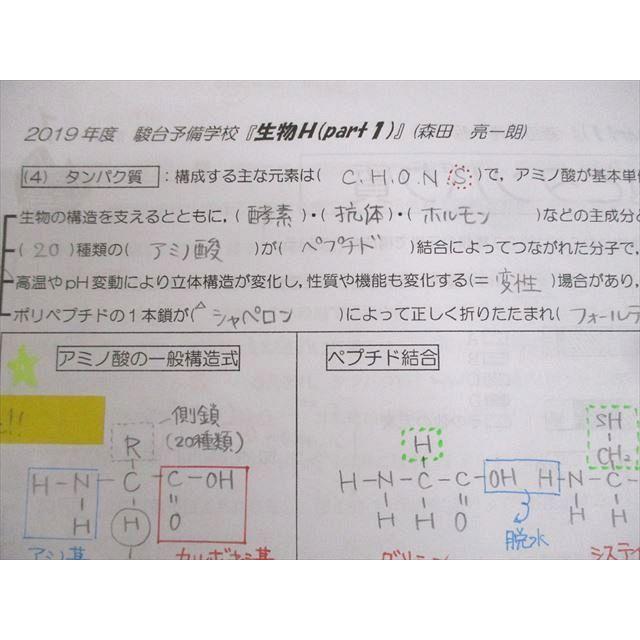 駿台 生物H Part1/2 テキスト通年セット 2019 計2冊 森田亮一朗
