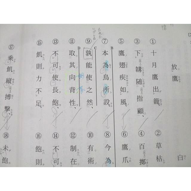 育英予備校 私大/現代文(演習)/基礎古文(解説＋演習)/漢文(演習)等