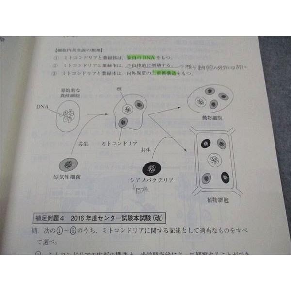 東進 大学入学共通テスト対策 生物基礎 テキスト 緒方隼平 ☆ 007s0D