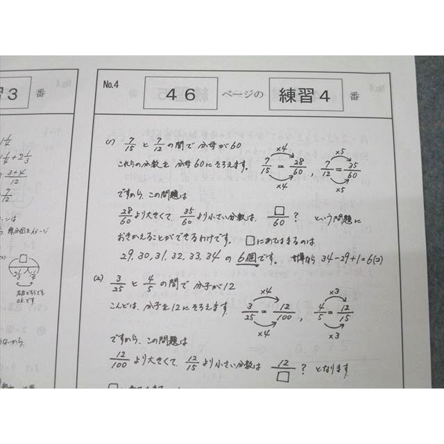 浜学園 小5 算数 テーマ教材 『難問解説集』 第1/2分冊 テキストセット 