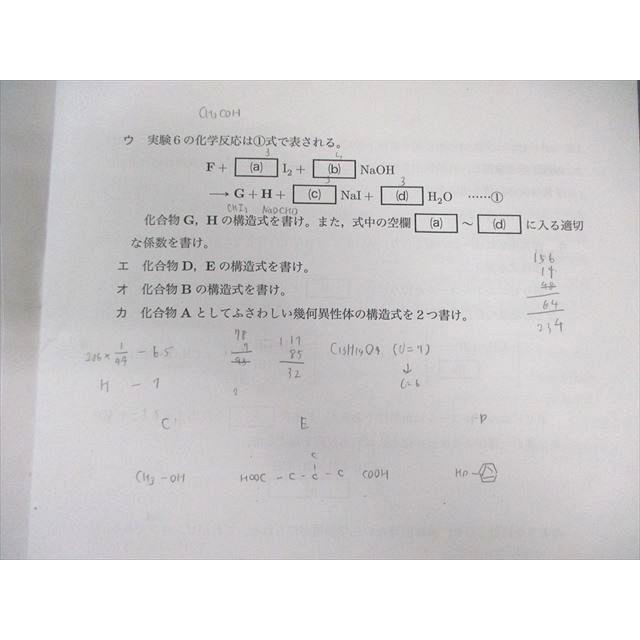 鉄緑会 W4クラス 化学受験講座 入試化学演習 【計12回分】 2023 丸田将