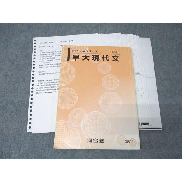 河合塾 早稲田大学 早大現代文 国語テキスト【書き込み無し】 2022