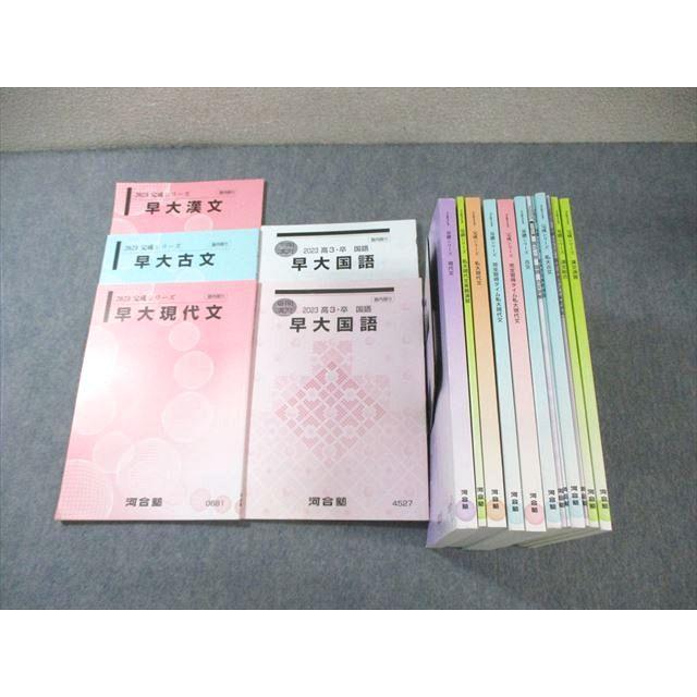 河合塾 早大コース 現代文/古文/漢文 テキスト通年セット 2023 計16冊