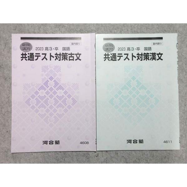 河合塾 共通テスト対策 古文/漢文 2023 夏期講習 計2冊 ☆ 002s0B