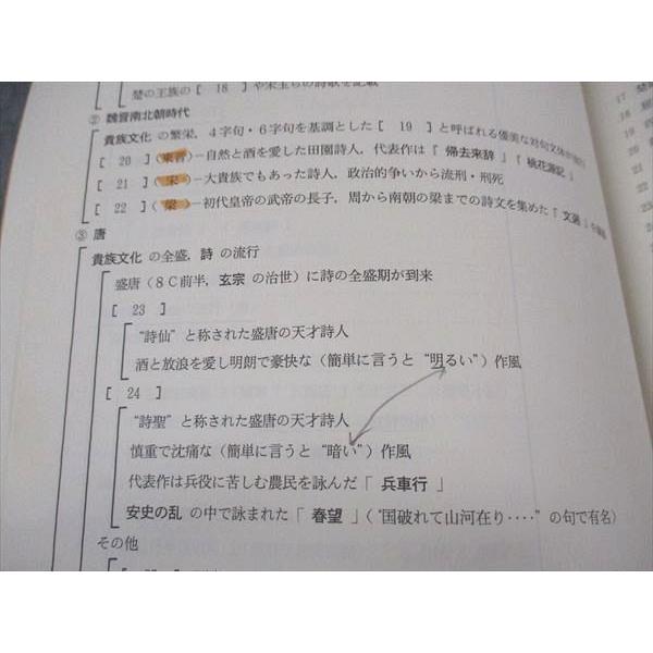 駿台 高2/3/卒 世界史文化史総整理 テキスト 2020 ☆ 011m0C