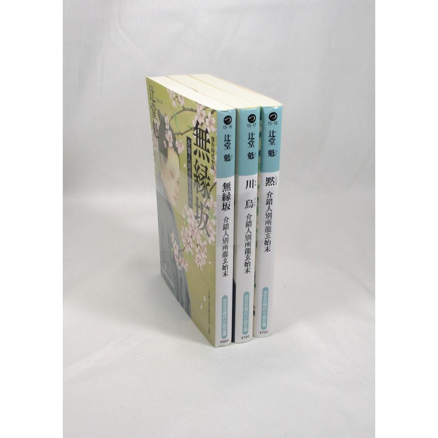 介錯人別所龍玄始末 セット 3冊 辻堂魁 光文社時代小説文庫 全巻セット