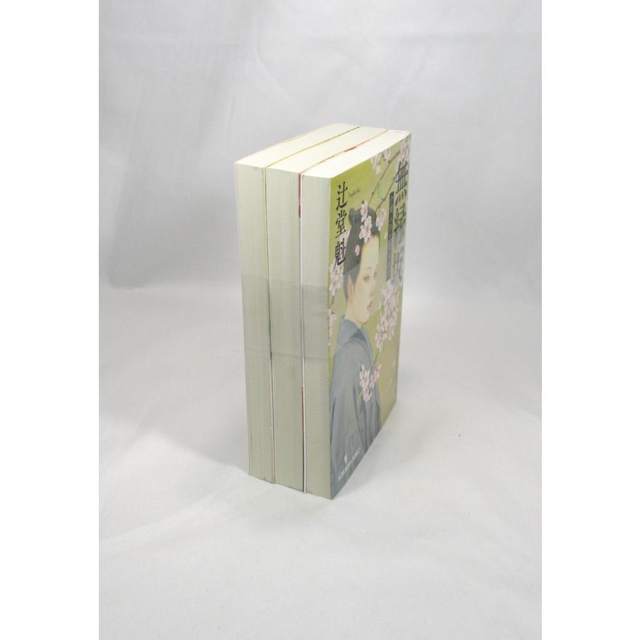 介錯人別所龍玄始末 セット 3冊 辻堂魁 光文社時代小説文庫 全巻セット