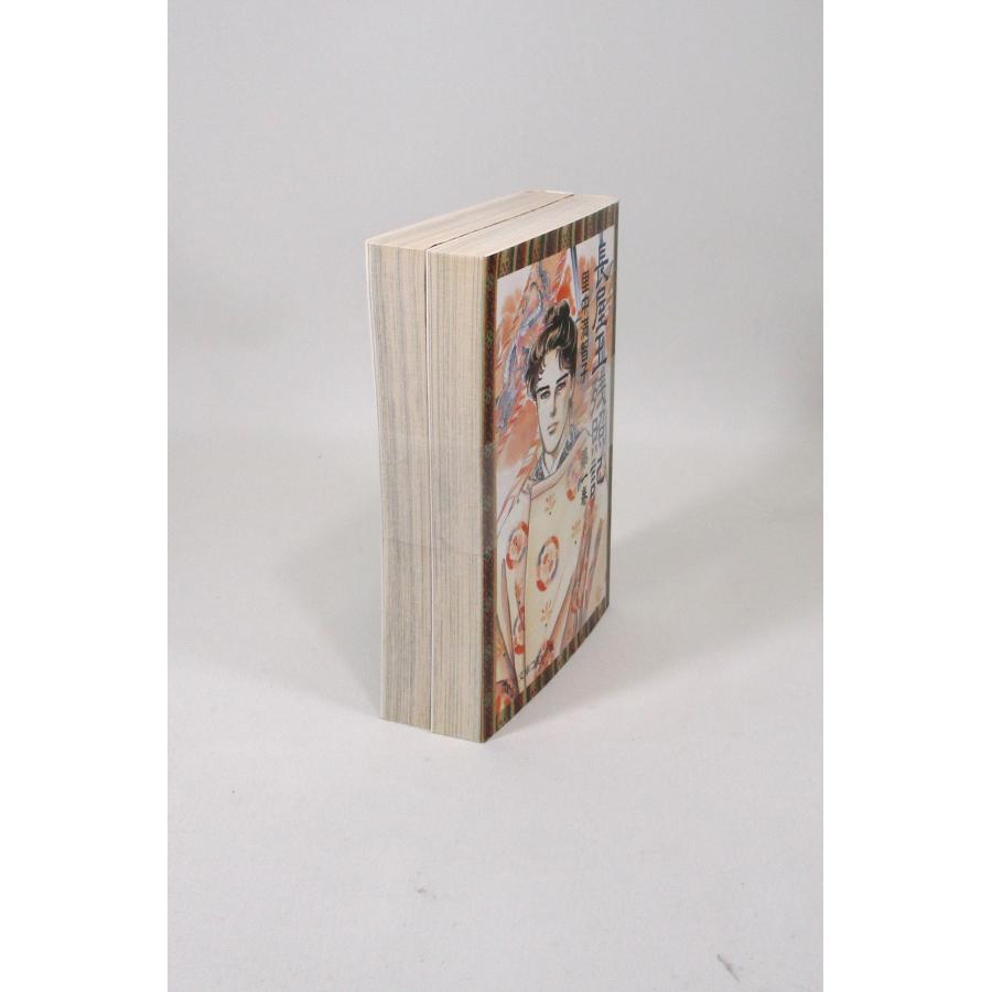 天上の虹、女帝の手記、長屋王残照記　全巻セット 長屋王残照記 全巻 セット 全2巻 里中満智子 中公文庫コミック版 全巻