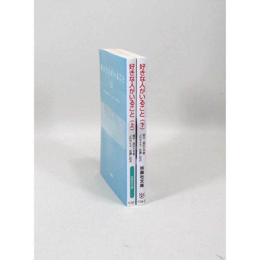 好きな人がいること 全巻 セット 上下 百瀬しのぶ 桑村さや香 扶桑社