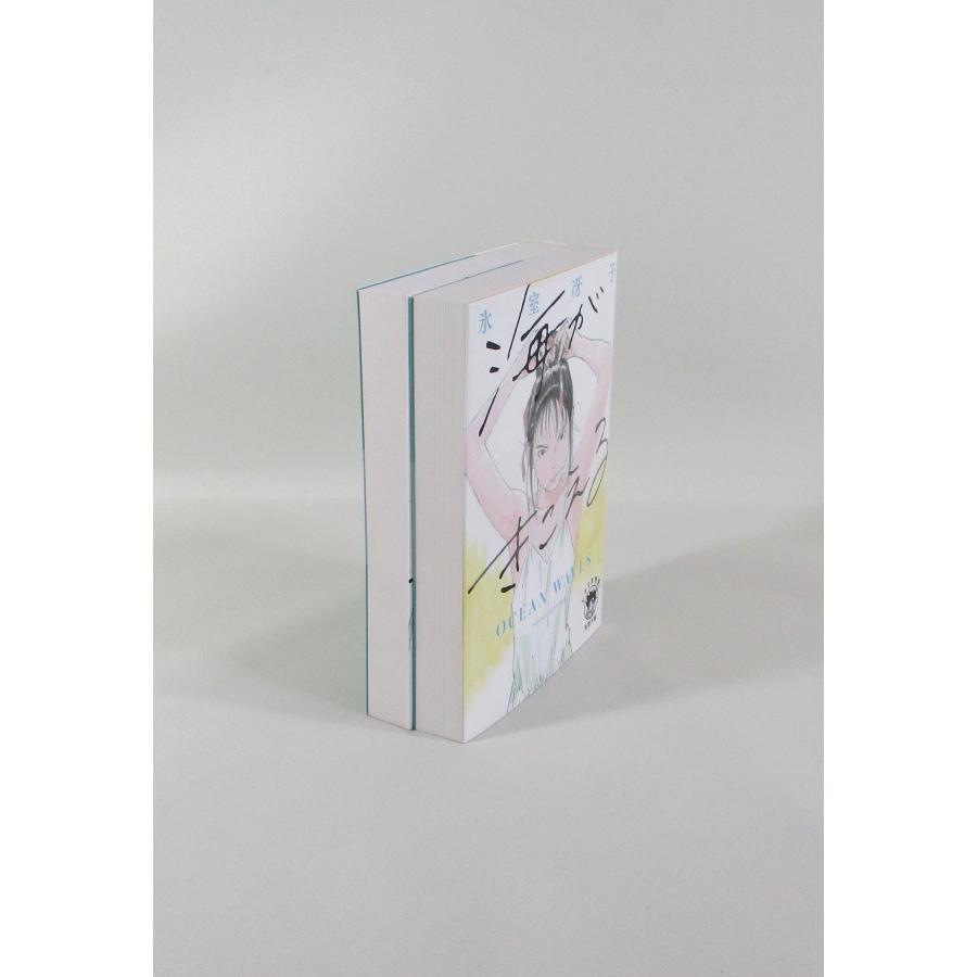 海がきこえる 2冊 セット 氷室冴子 徳間文庫 文庫 全巻、表紙