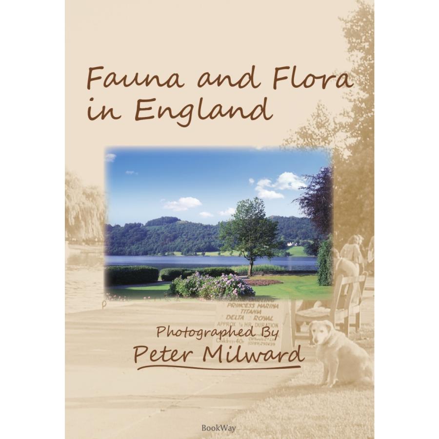 FAUNA AND FLORA IN ENGLAND／Peter Milward｜bookwayshop