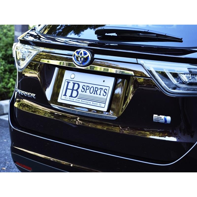 3D LUXURY TRIM 3Dラグジュアリートリム リアライセンスアクセント