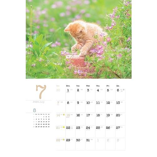 カレンダー2024 こねこと暮らす 保護猫チャリティーカレンダー（月めくり/壁掛け） (ヤマケイカレンダー2024)｜boom0415no2｜11