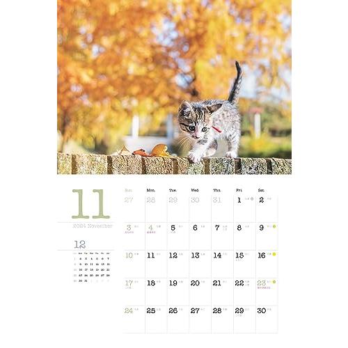 カレンダー2024 こねこと暮らす 保護猫チャリティーカレンダー（月めくり/壁掛け） (ヤマケイカレンダー2024)｜boom0415no2｜15