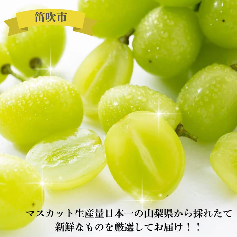 シャインマスカット　山梨県産　高級品　二房 シャインマスカット 山梨県産 2房（約1kg以上） 高糖度平均20度