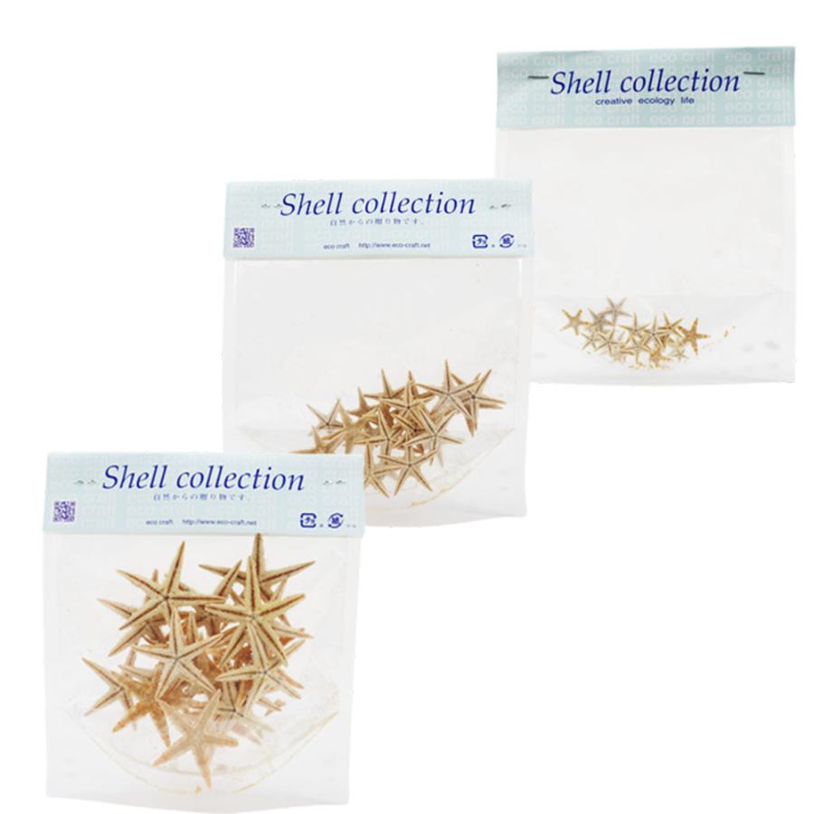 星　ヒトデ　海　天然素材　ミニヒトデ　小さいヒトデ　小さい貝殻　レジン　アート 星 ヒトデ 海 天然素材 ミニヒトデ 小さいヒトデ 小さい貝殻