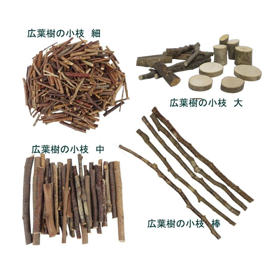 広葉樹の小枝 形状おまかせ【細・中・大約100g入】【棒5本入】 木の枝 